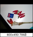 cimg9832c11a.jpg