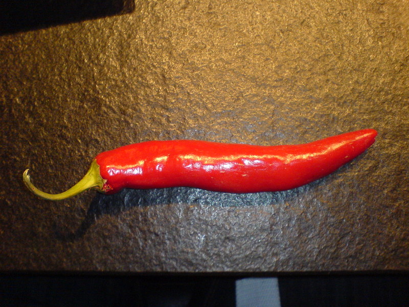 dsc006615uu.jpg