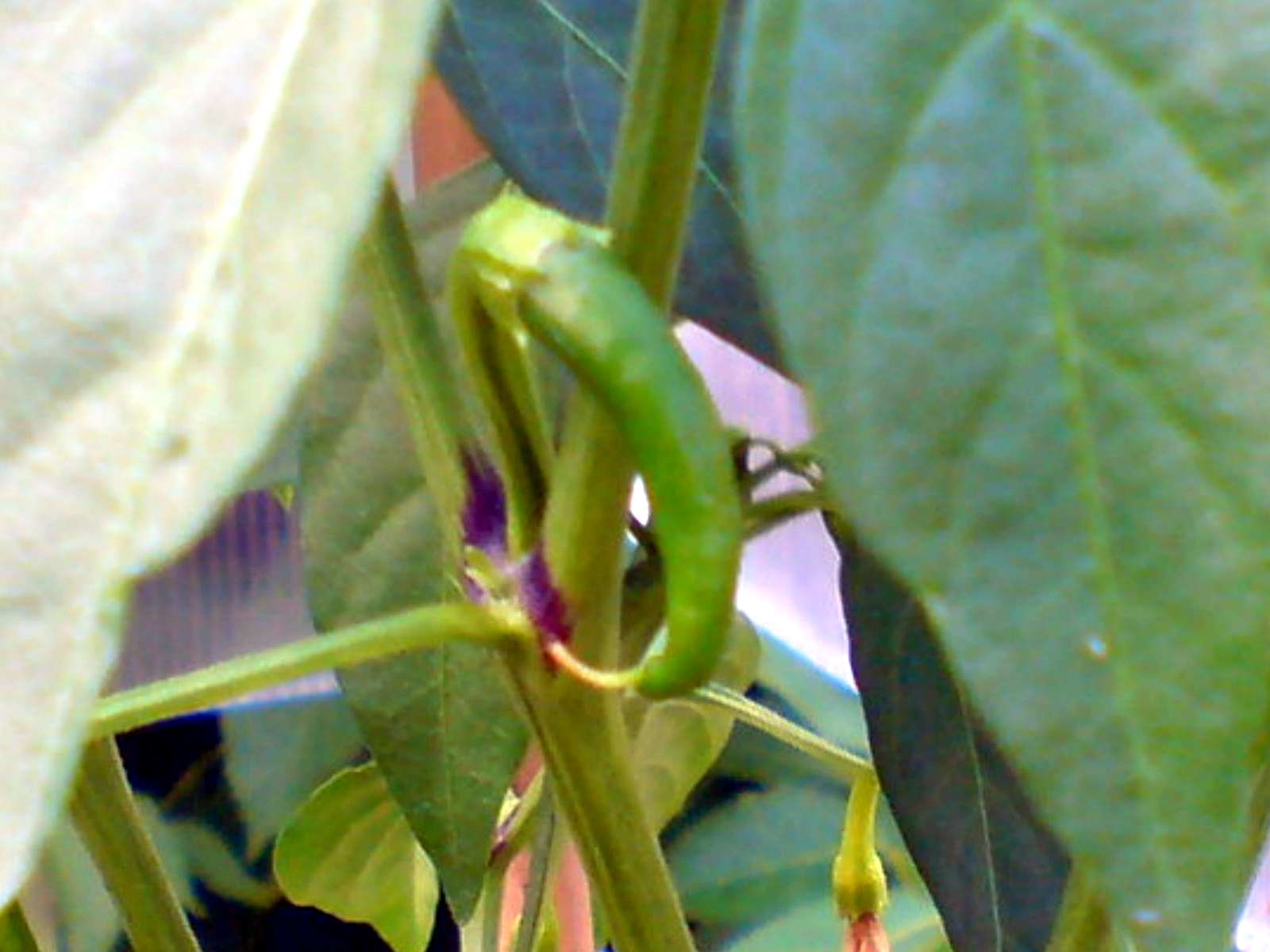 DSC00835.jpg