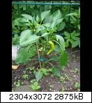 dsc01748kqizt.jpg