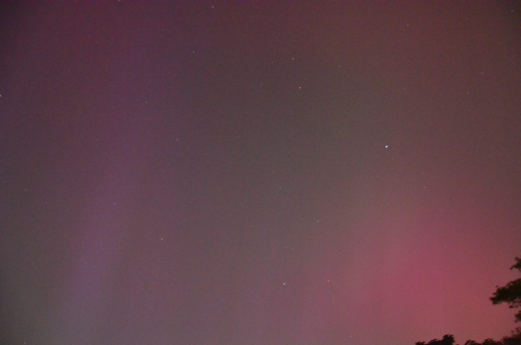 DSC_0048.jpg