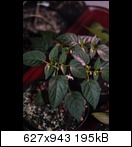 dsc_0396_bildgrendernfqdt.jpg
