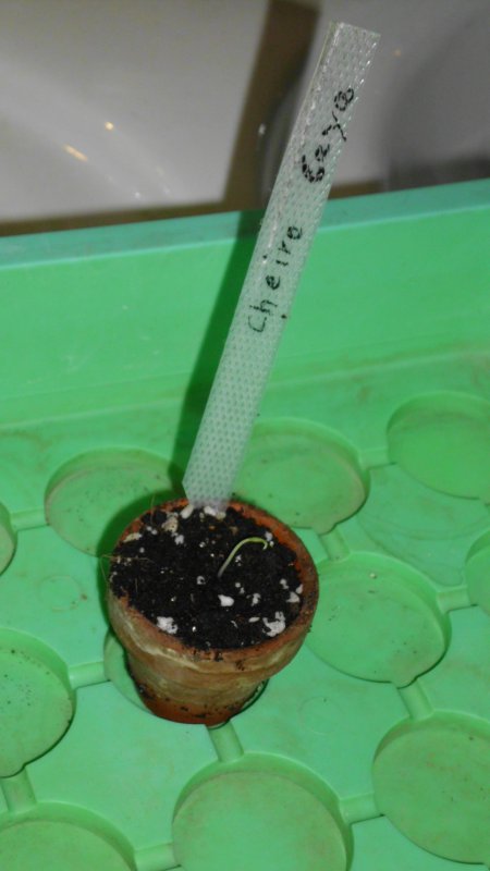 DSCI0613.JPG