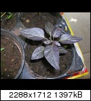 dscn3789bk03.jpg