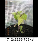 dscn49824reej.jpg