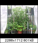 dscn5029zujxr.jpg