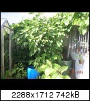 dscn5098ehkto.jpg