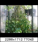 dscn5100vdk5g.jpg