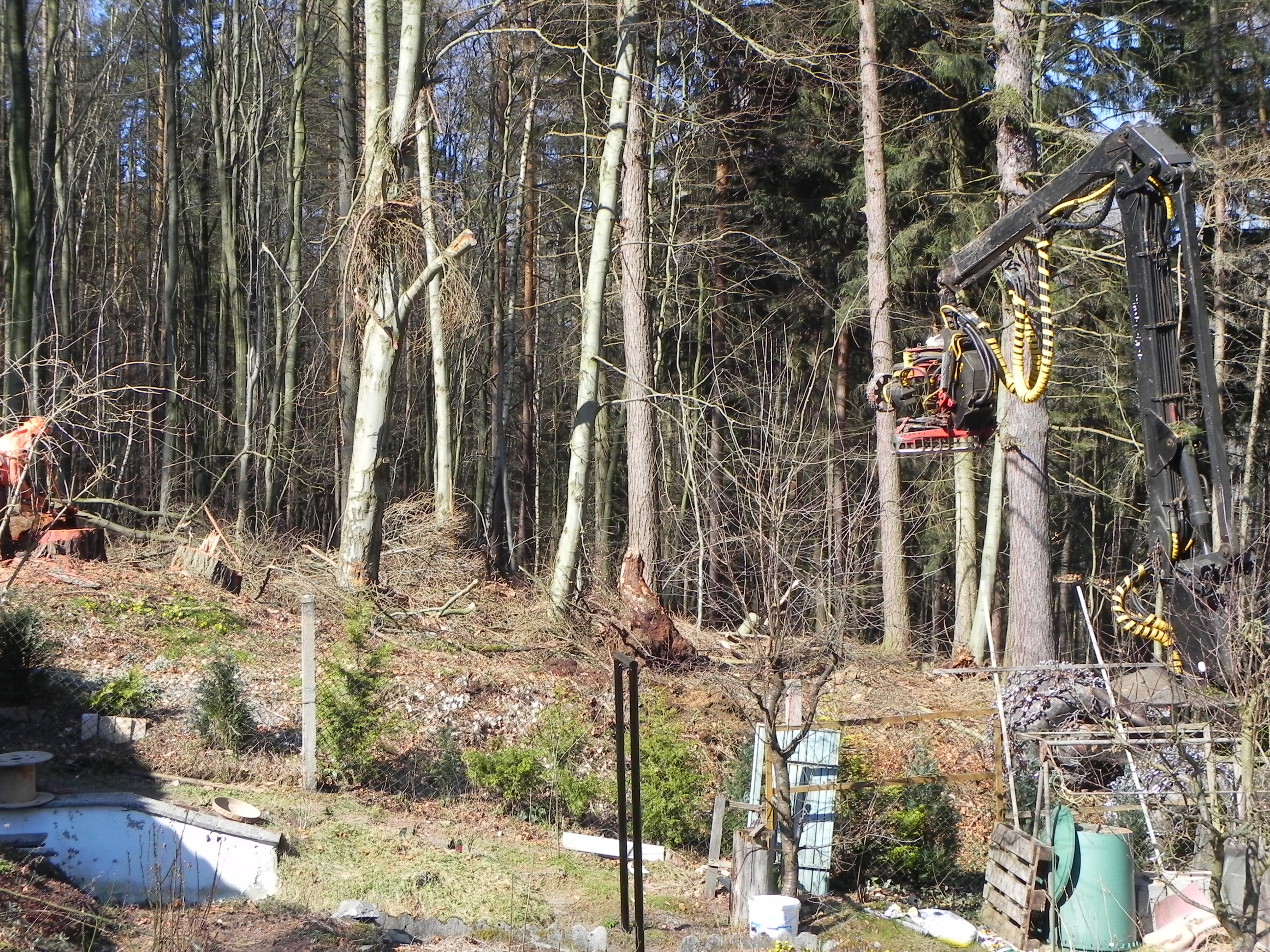 DSCN8540.JPG