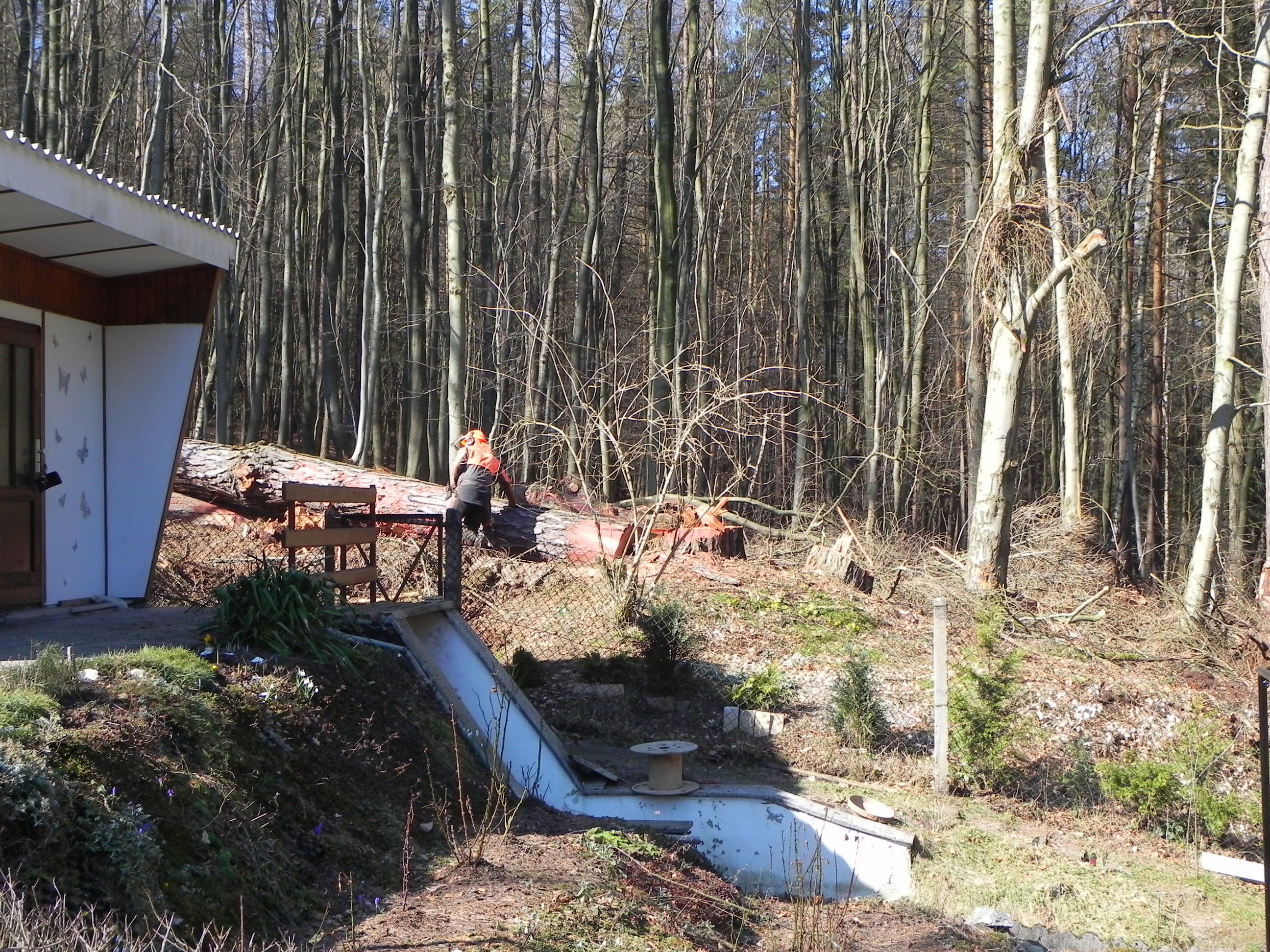 DSCN8541.JPG