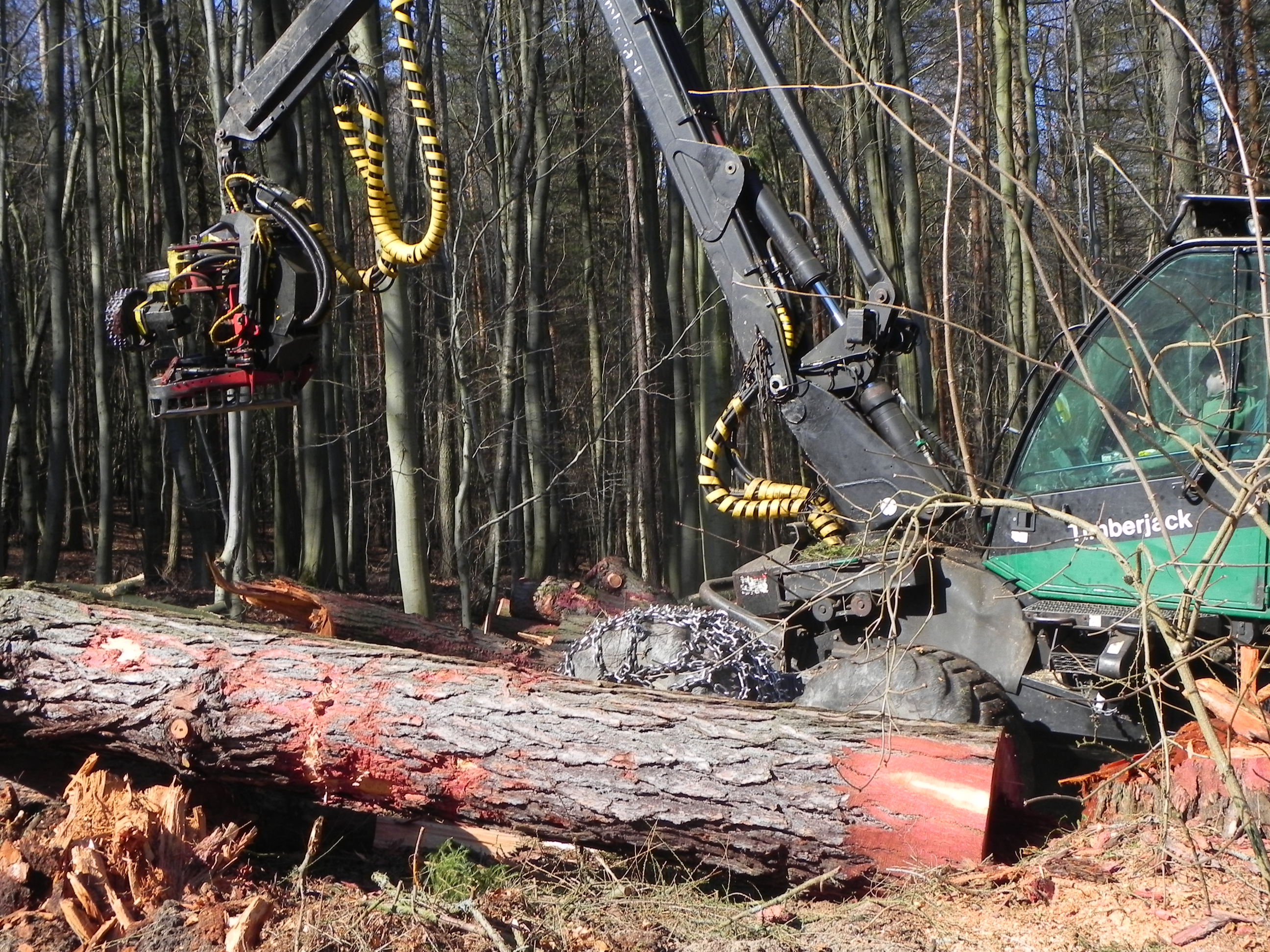 DSCN8542.JPG