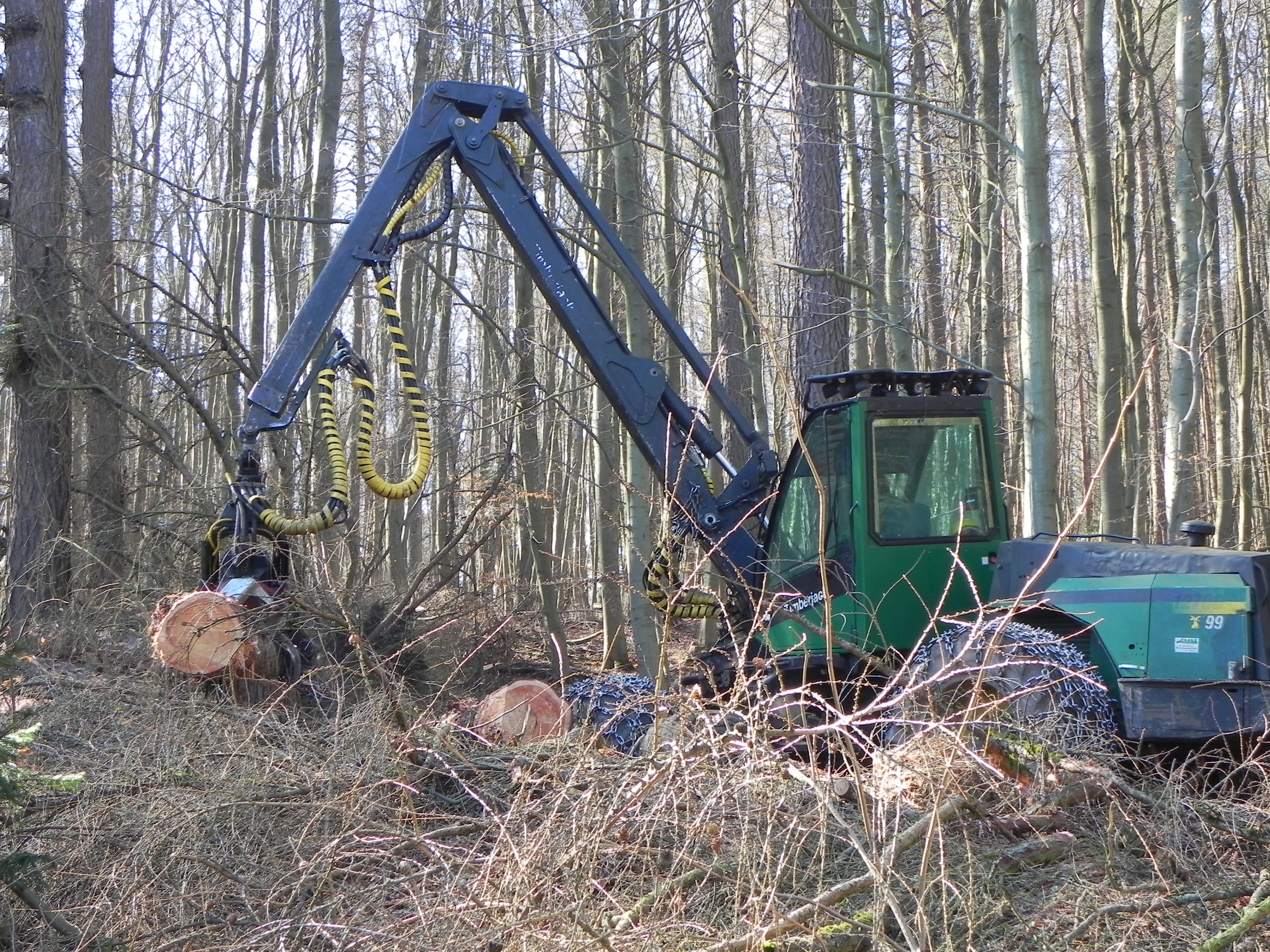 DSCN8605.JPG