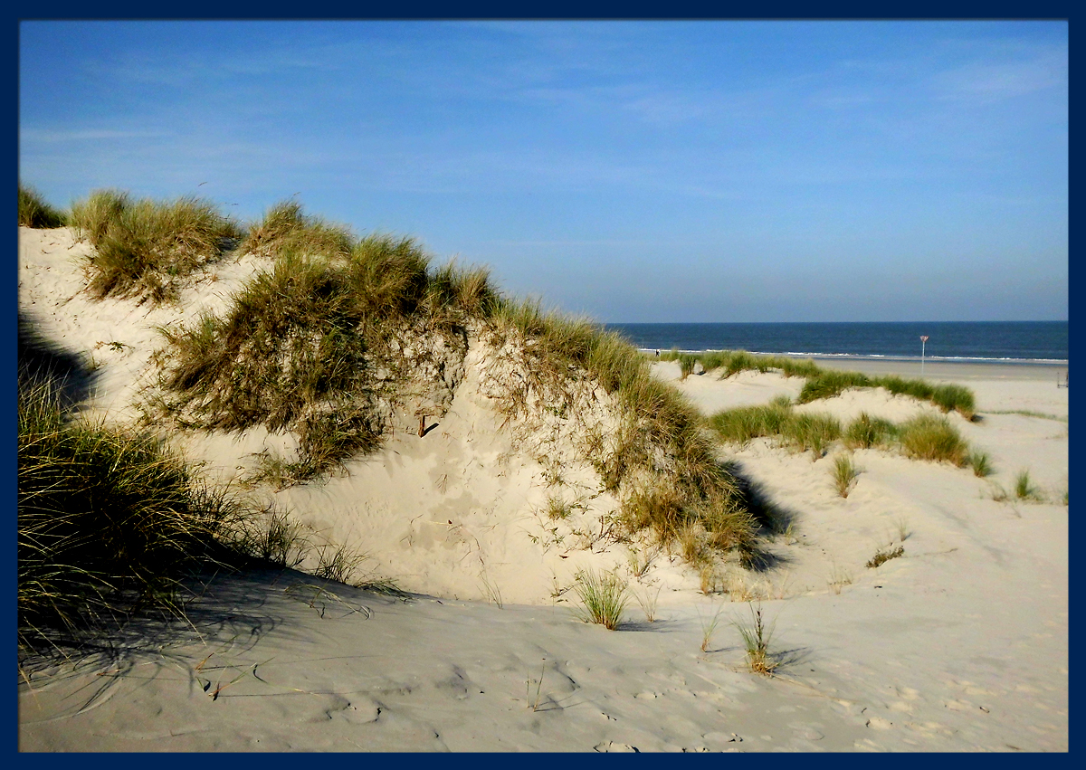 Duenen_vor_dem_Meer.jpg