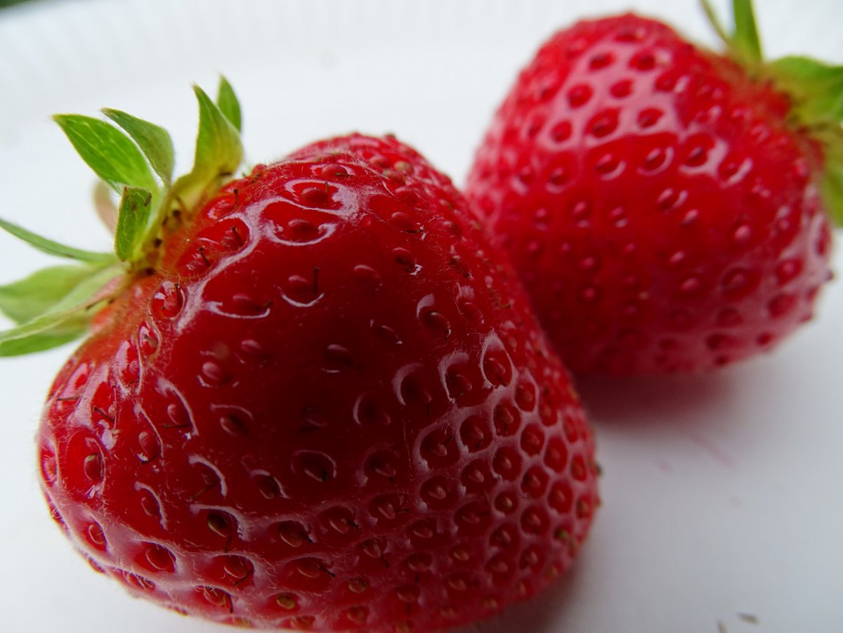 Erdbeeren.jpg