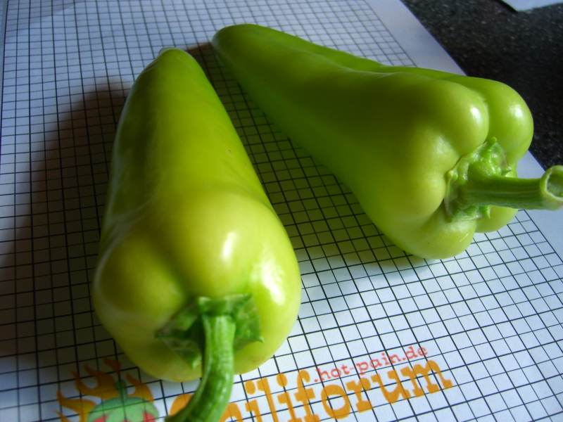 Feher_Frucht_unreif5.JPG