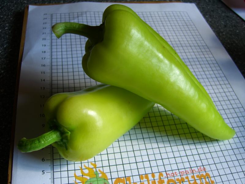 Feher_Frucht_unreif6.JPG