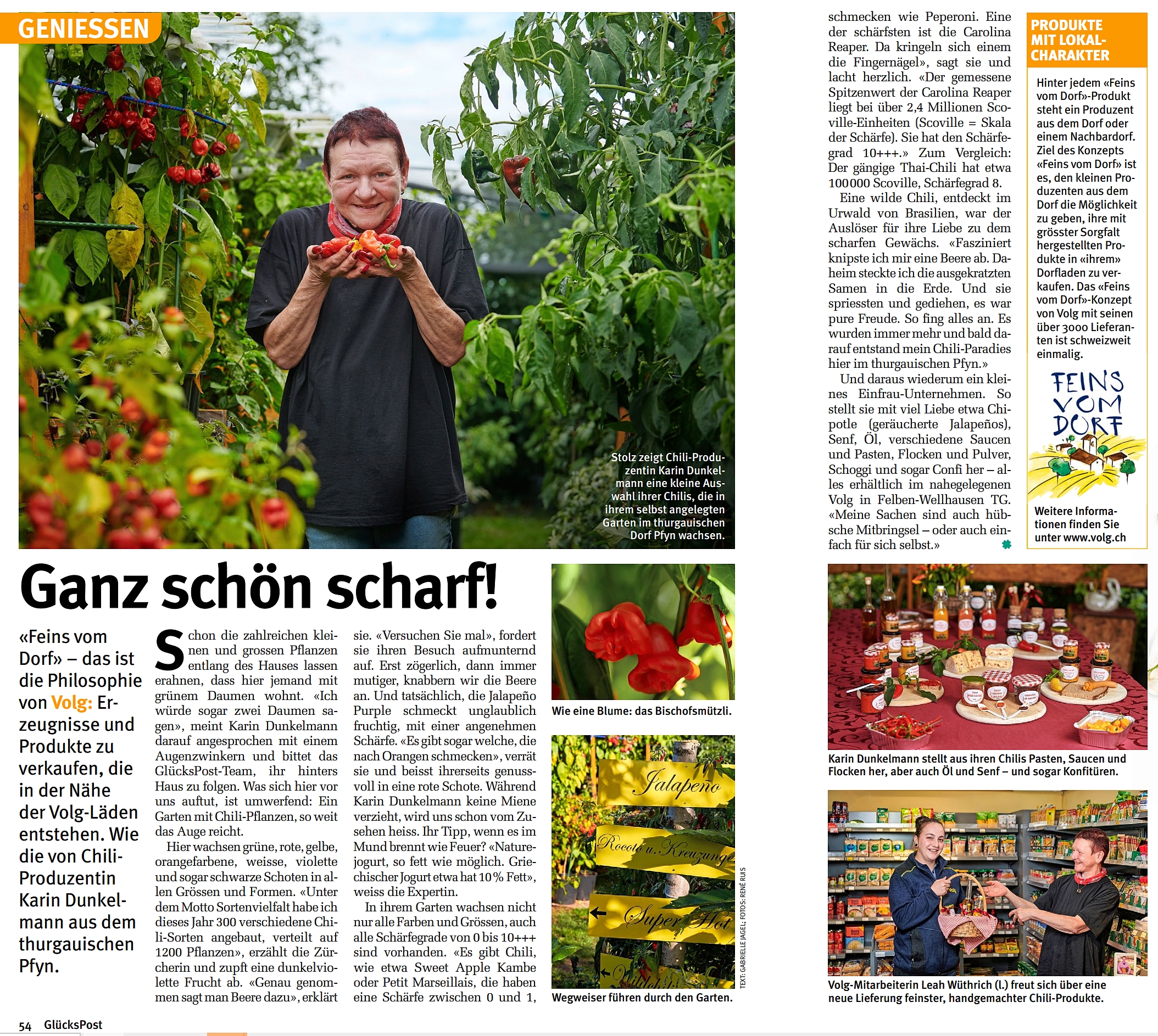 Feins vom Dorf Glücks Post.jpg