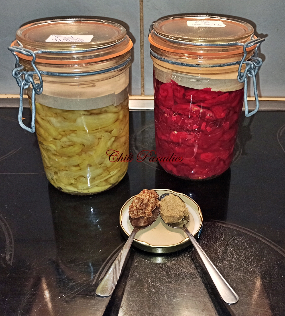 Ferment und Senf.jpg