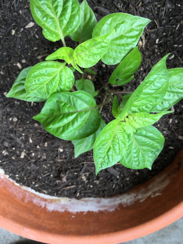 Foto 12.06.17, 13 27 54.jpg