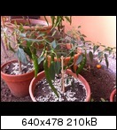 foto26.08.12163329d5ug5.jpg