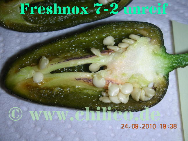 Freshnox 7-2 20100924 www.chilico.de_4170.JPG