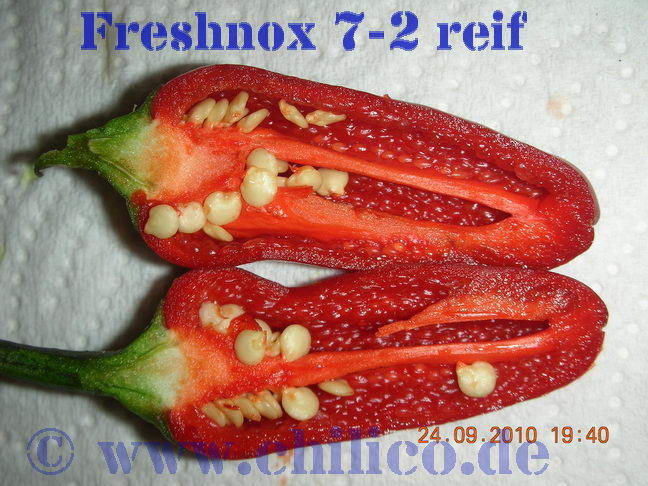 Freshnox 7-2 20100924 www.chilico.de_4172.jpg