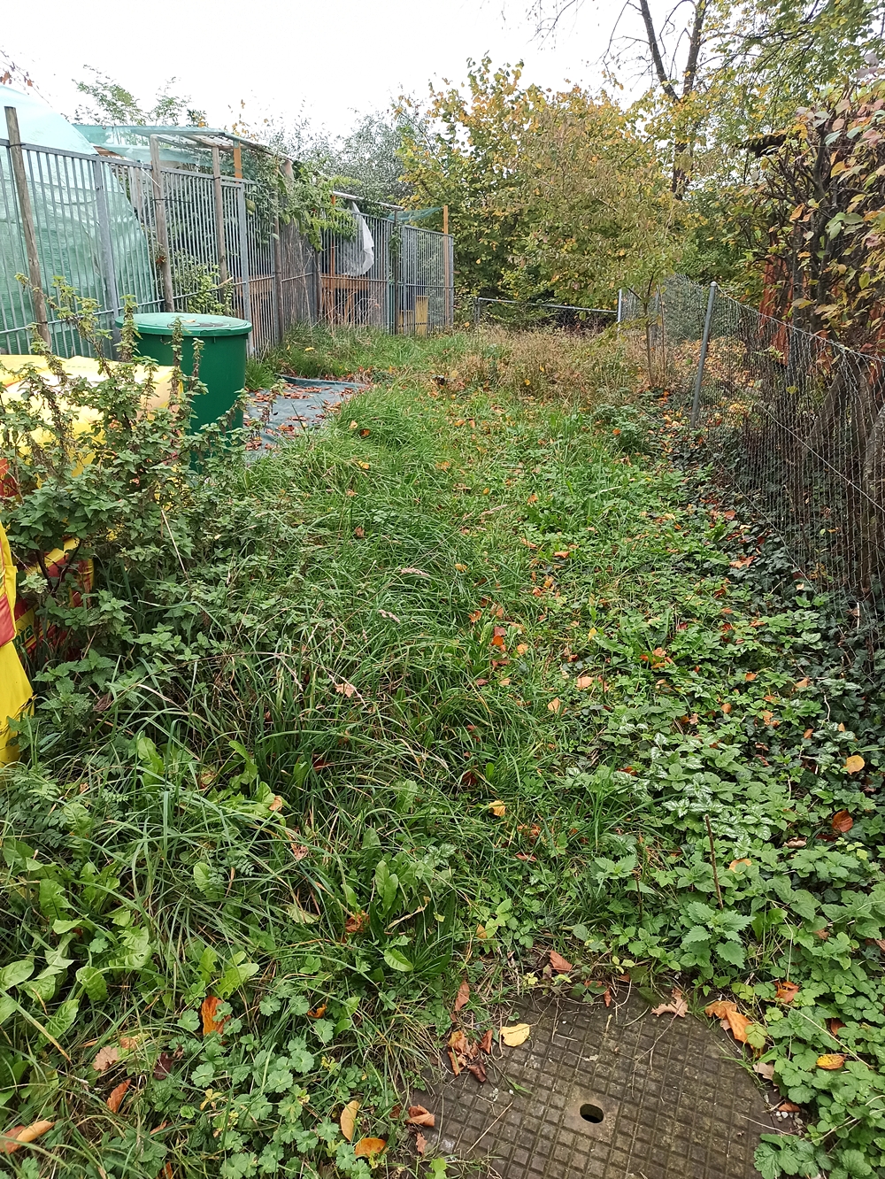 Gartenerweiterung.jpg