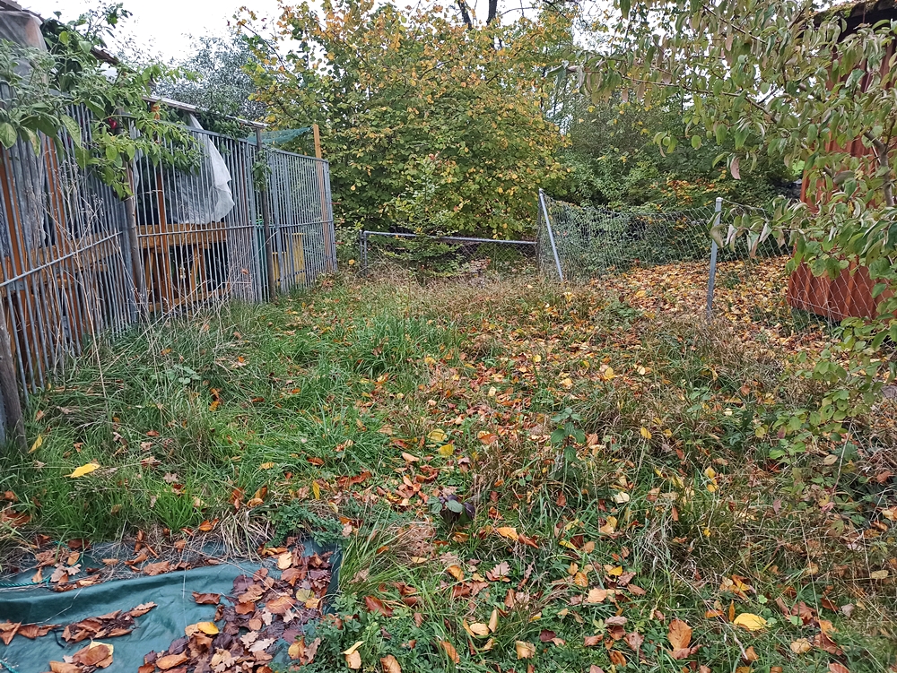 Gartenerweiterung1.jpg