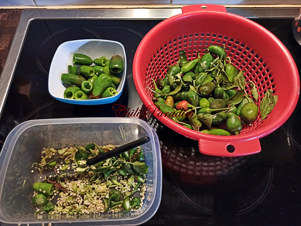 Gefüllte Jalapeños.jpg