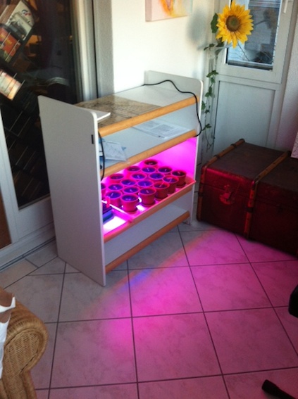 Growbox_20140105.JPG