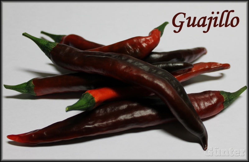 Guajillo.jpg