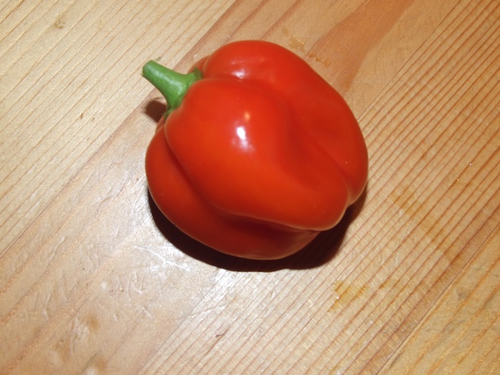 habanero 21.04.2017.jpg