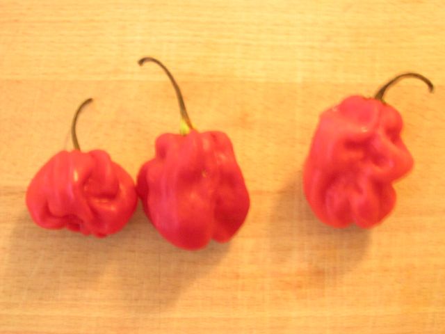 habanero.jpg