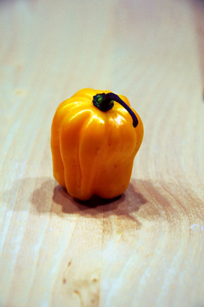 Habanero_gelb_1000.JPG