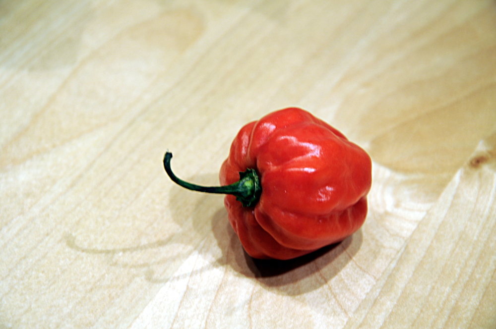 Habanero_rot_1000.JPG