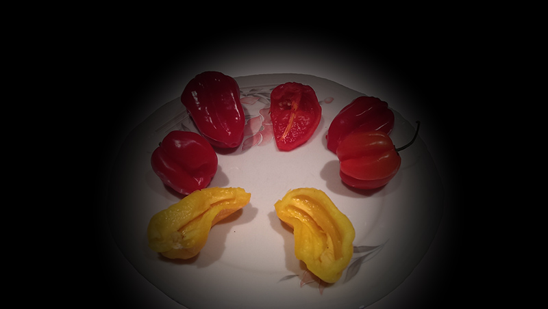 habaneros.jpg