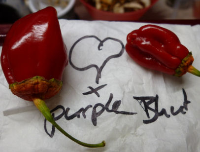 Herz + purple buth.jpg