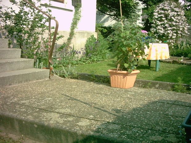 IM000370.JPG