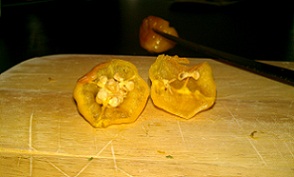 IMAG0303.jpg
