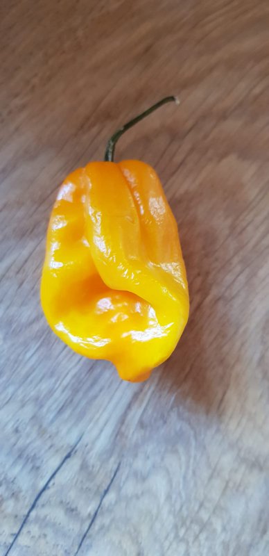 IMG-20181021-WA0036.jpg