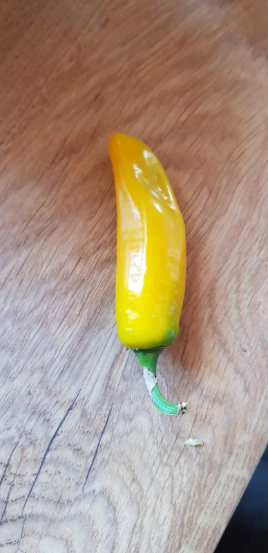 IMG-20181021-WA0052.jpg