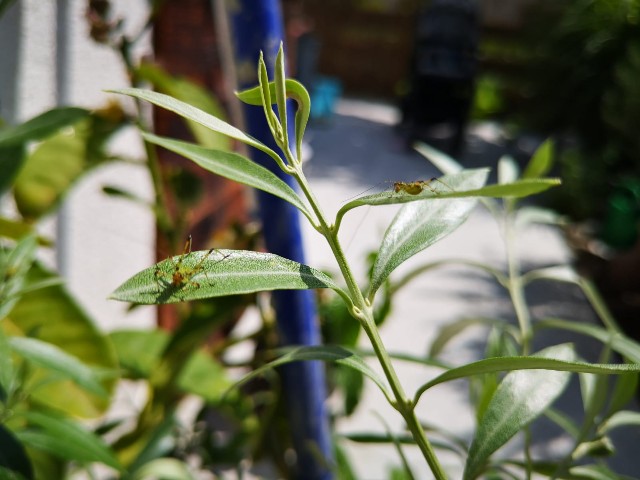 IMG-20190620-WA0003-640x480.jpg