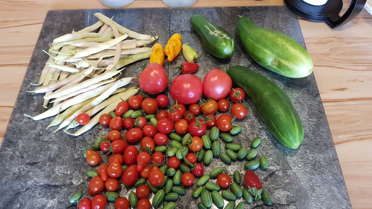 IMG-20190806-WA0009.jpeg