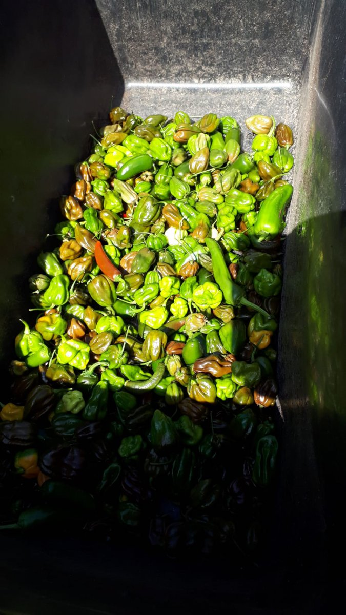 IMG-20191014-WA0019.jpg