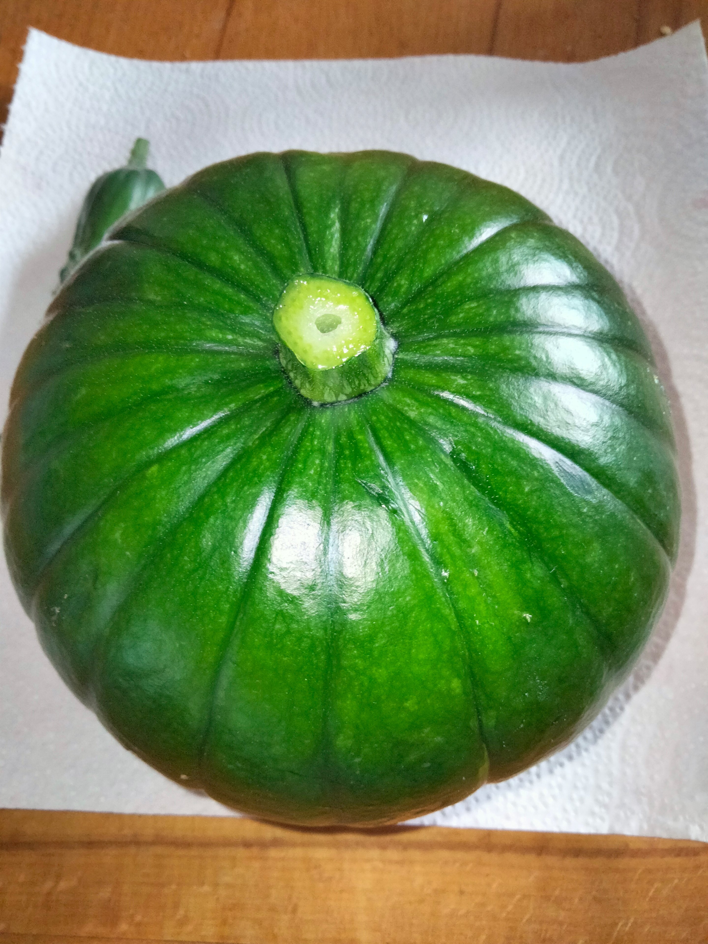 IMG20250726111448.jpg