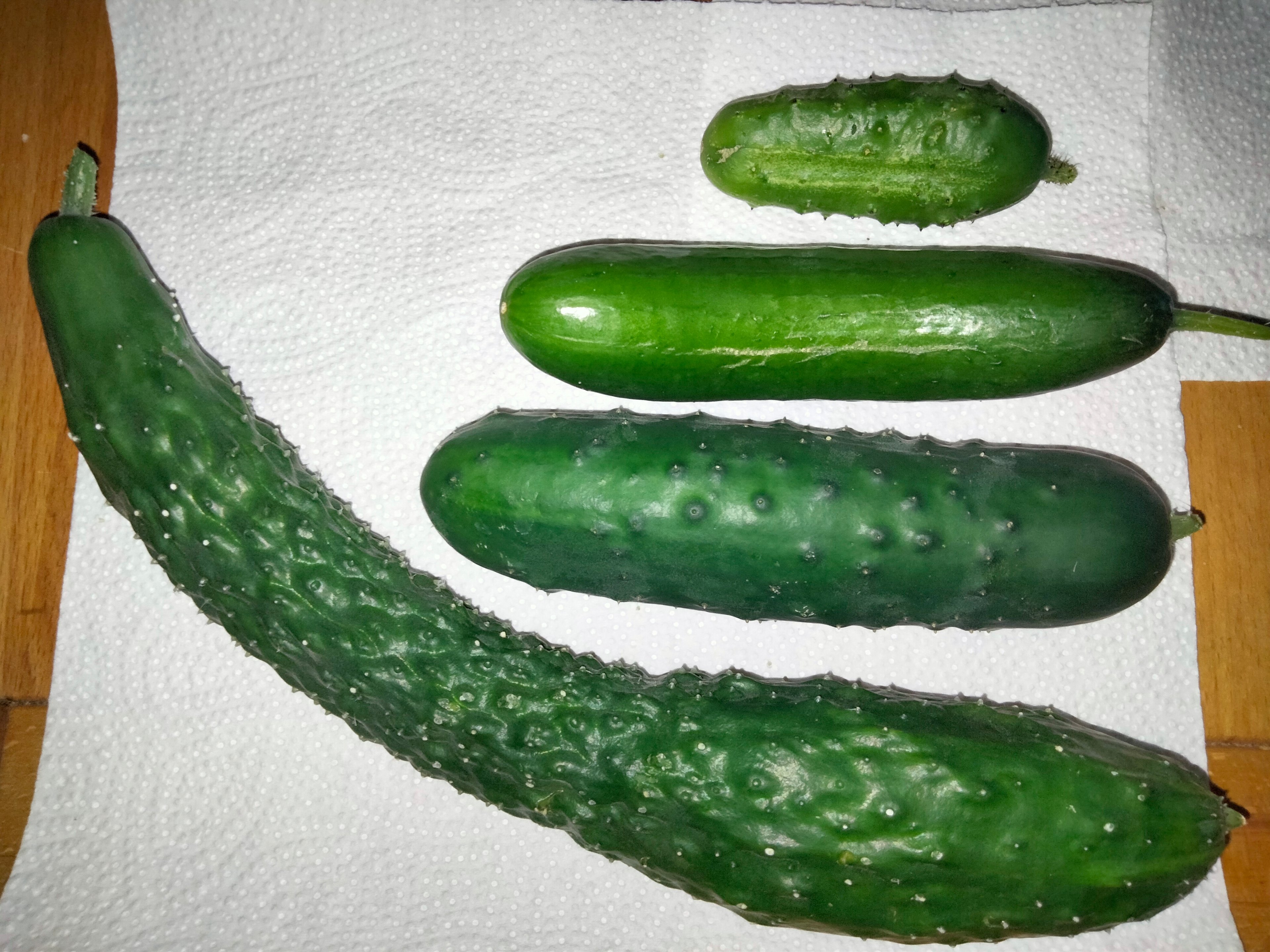 IMG20250808205227.jpg