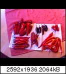 img_04794ouos.jpg
