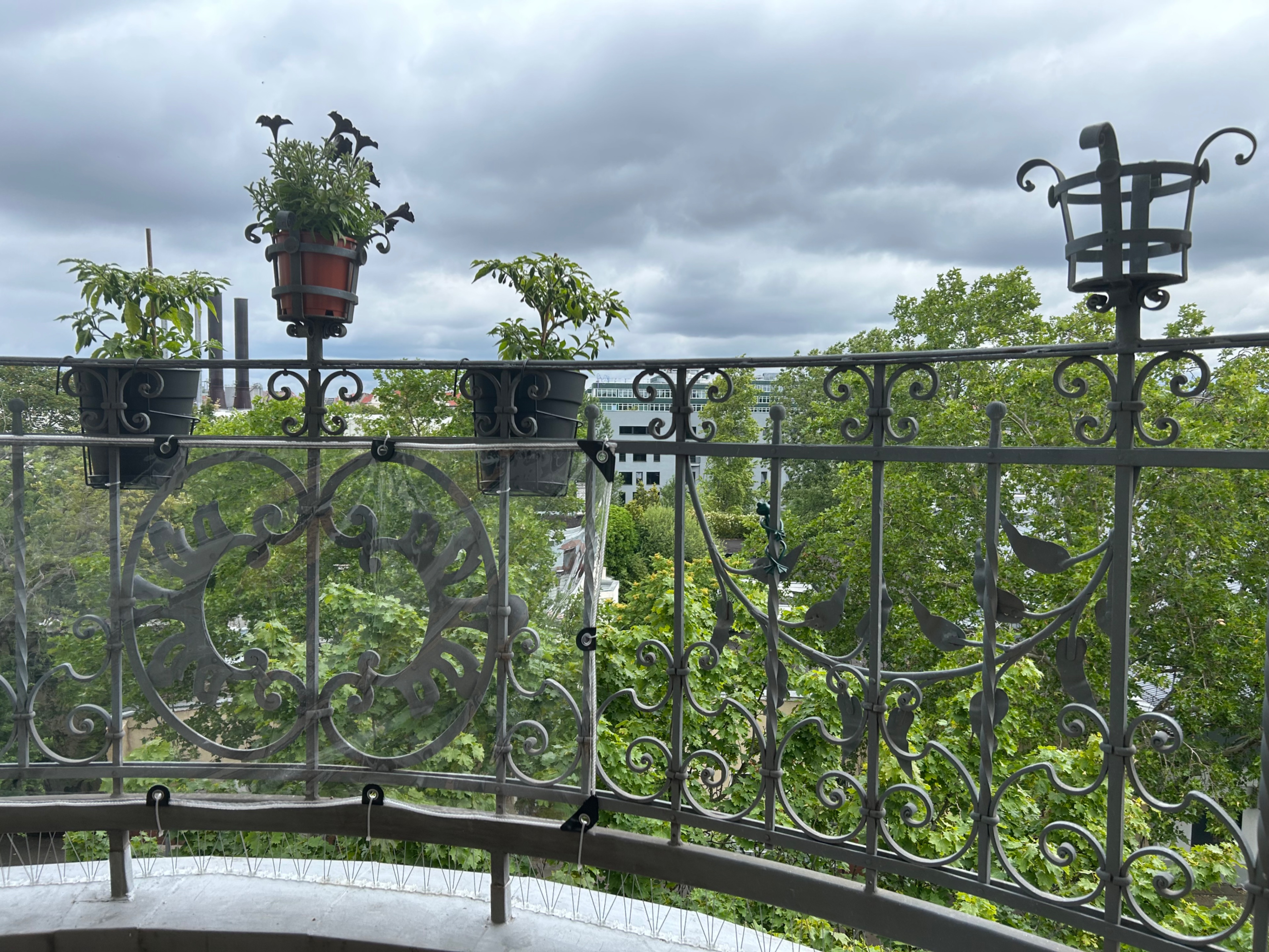 IMG_1006.jpeg