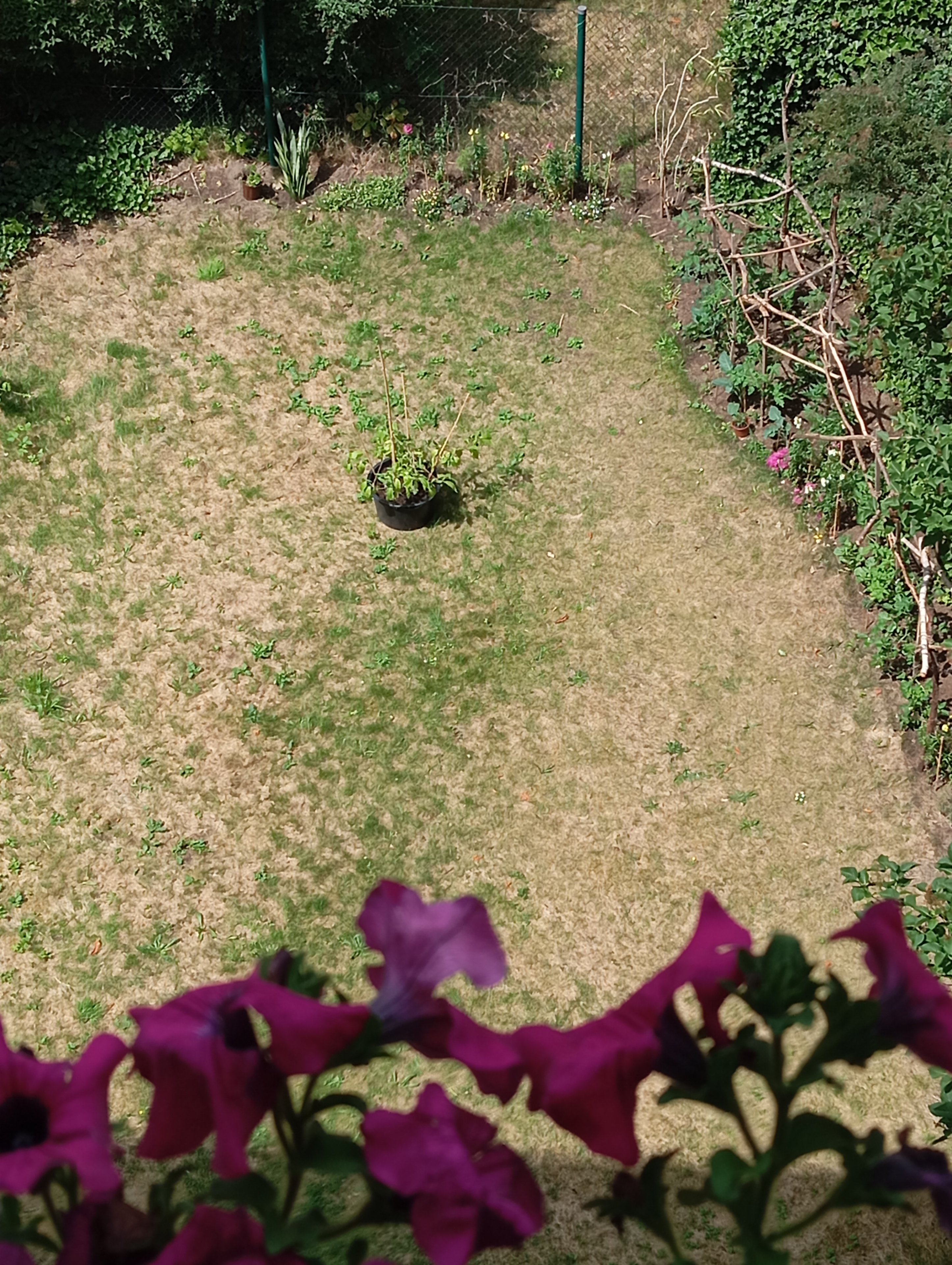 IMG_20250616_121824.jpg