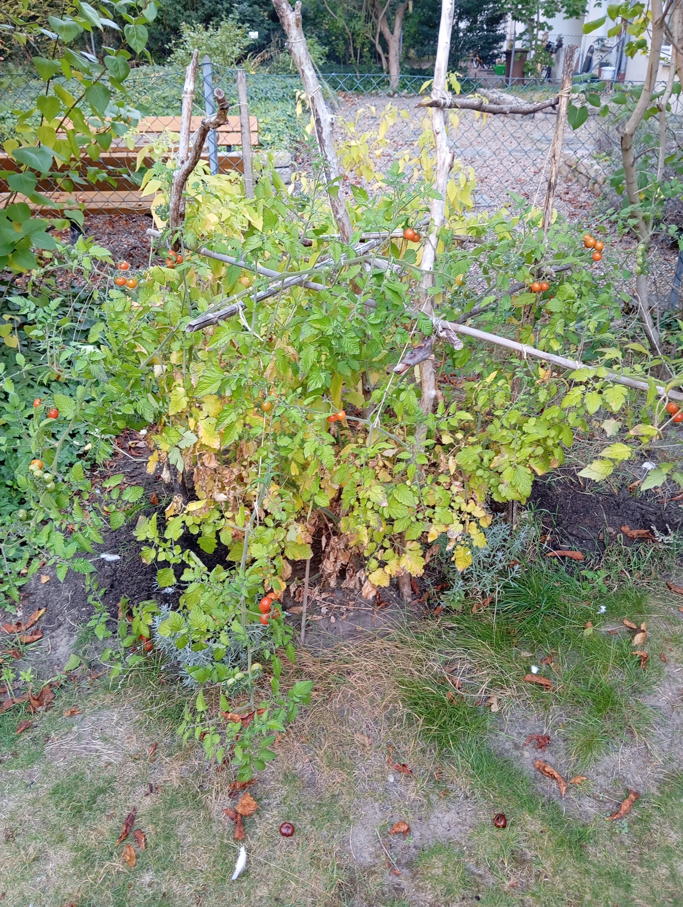 IMG_20251002_090024.jpg